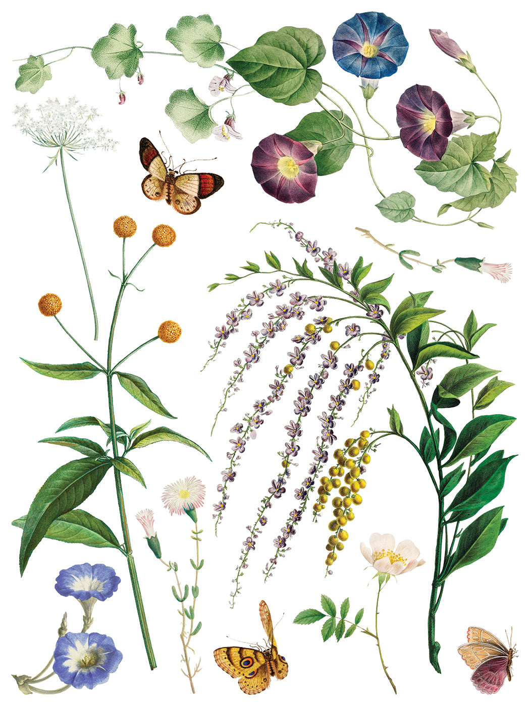 MARCHÉ DES FLEURS IOD TRANSFER 12X16 PAD™
