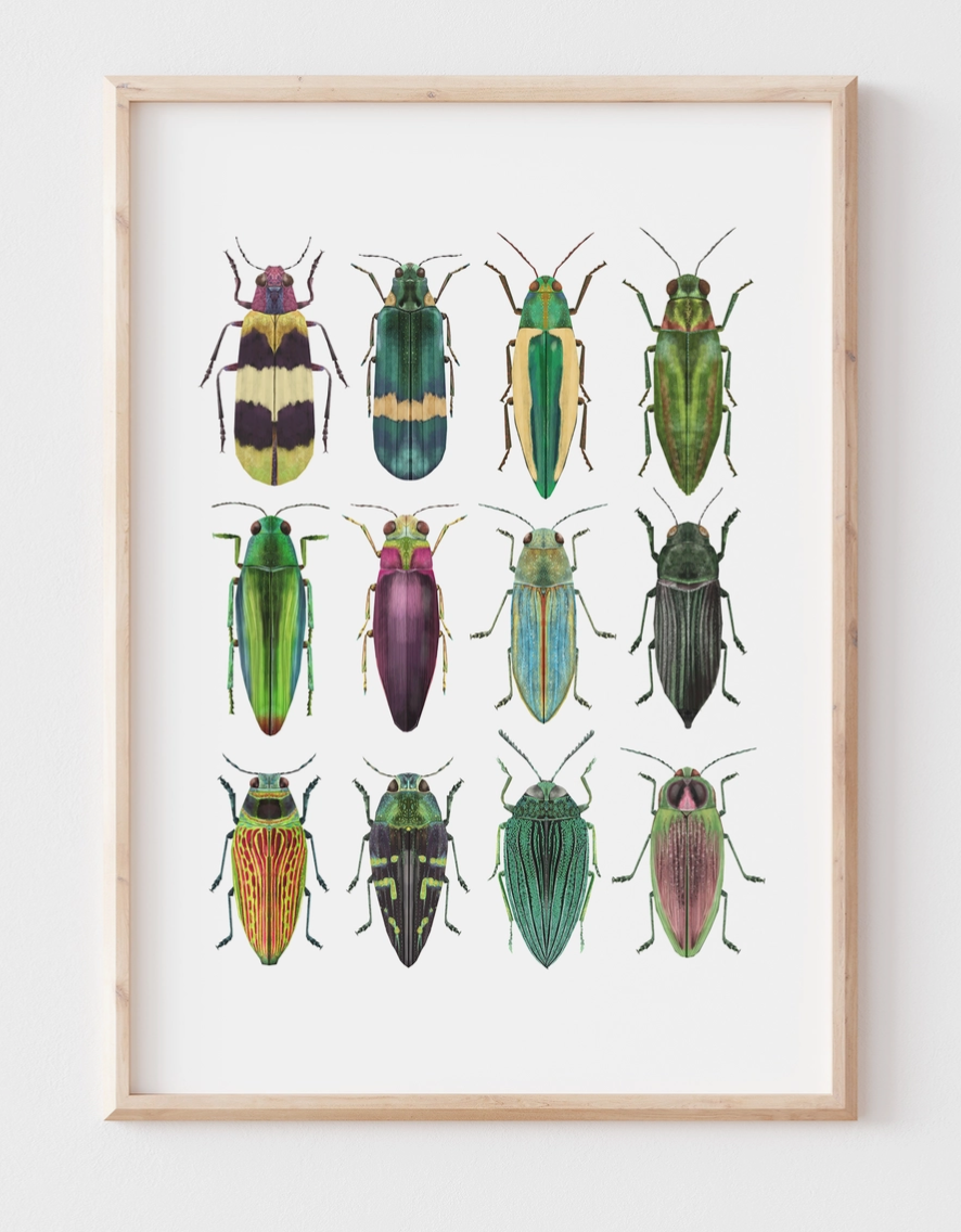 Prints that are frameable
