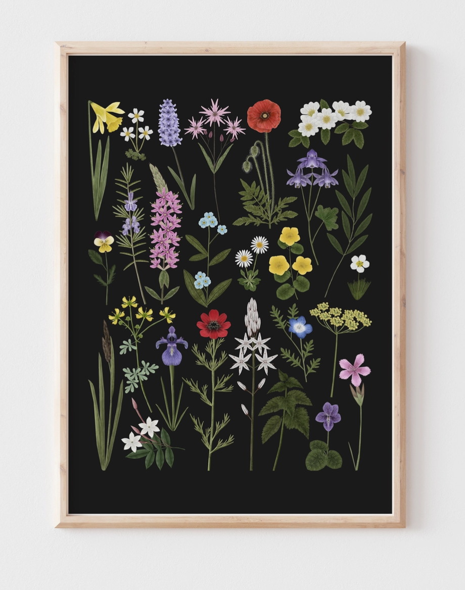 Prints that are frameable