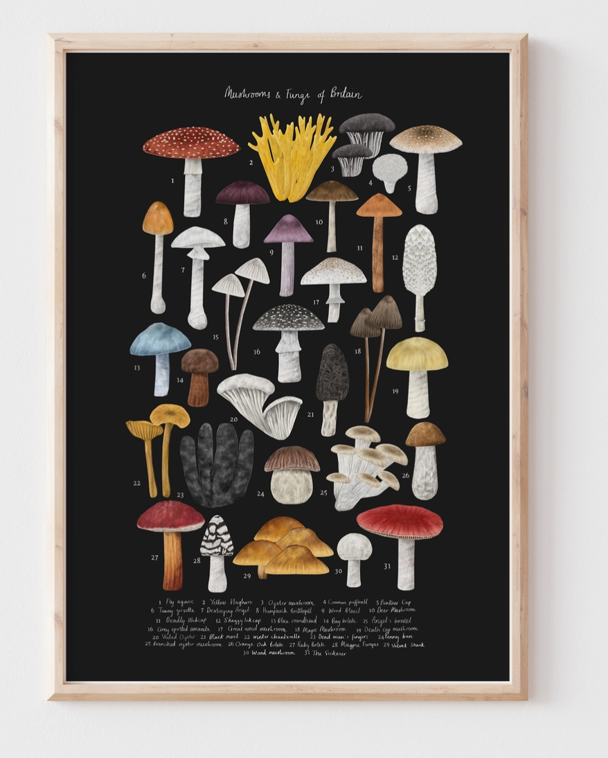 Prints that are frameable
