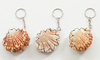 Keyring seashell coin purses