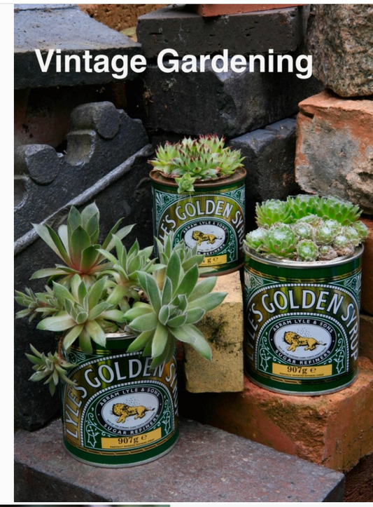 Vintage Gardening paperback