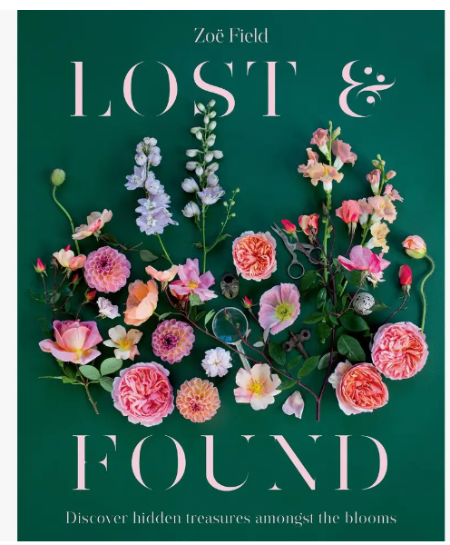 Book  - Lost and Found