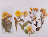 Flower and Plant Stickers