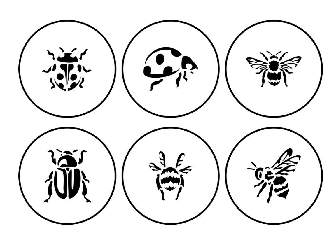 Insect  Stencil Pack