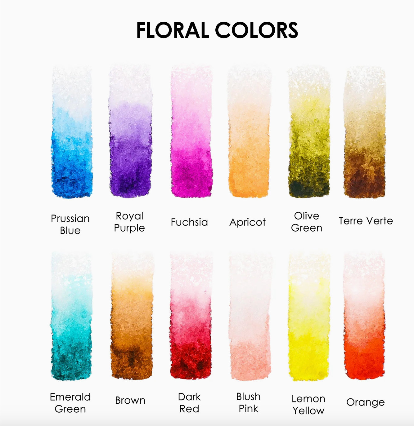 Watercolor Pocket Set of 12 - Floral Colors