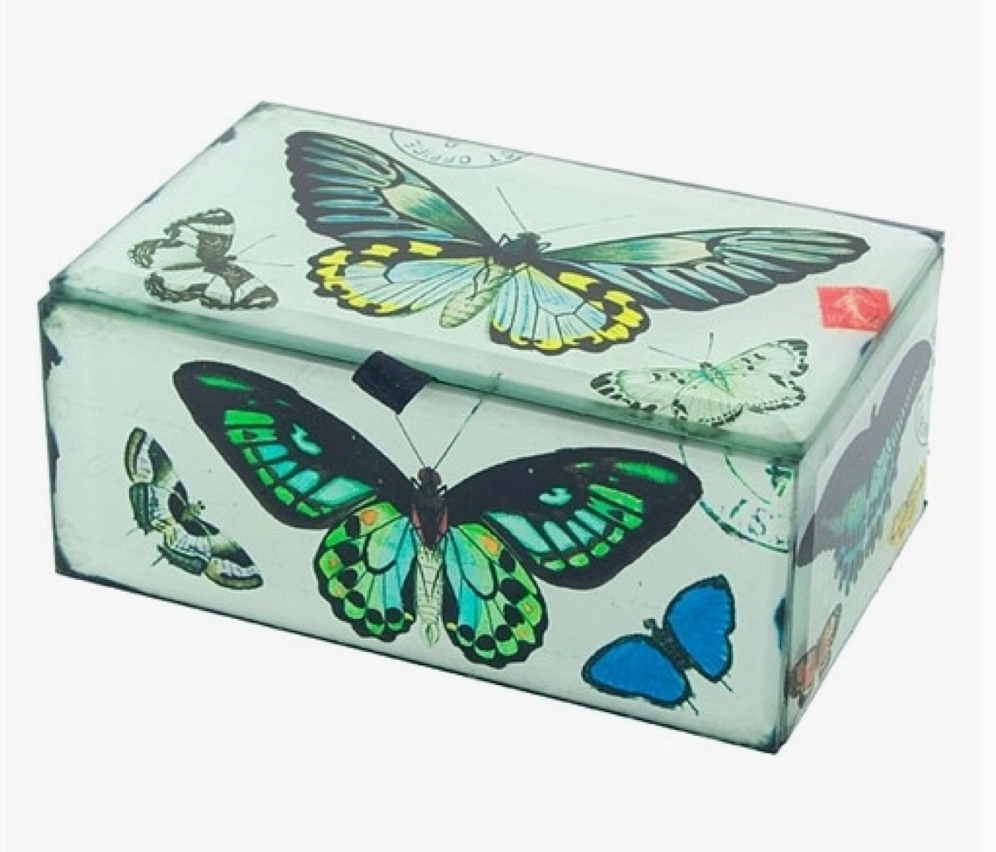Glass Butterfly Box