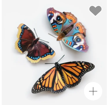 Moth and Myth Cut-Outs