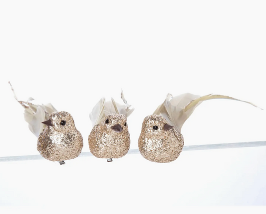 Champange glitter clip-0n bird ornaments