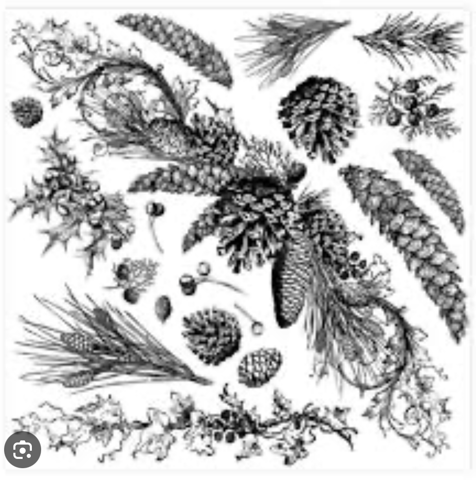 Evergreen Stamp