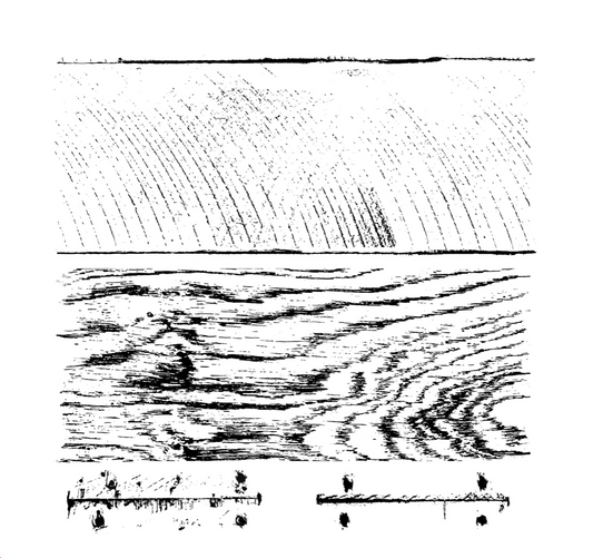 Barnwood Blanks Stamp