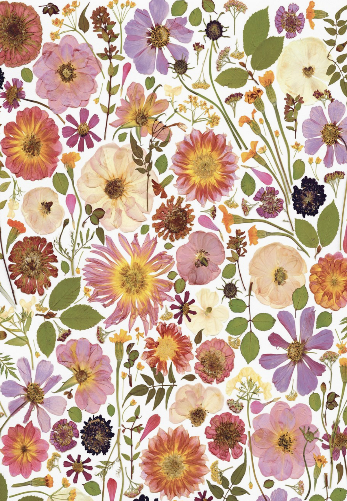 Beautiful Blooms Wrapping Paper Book