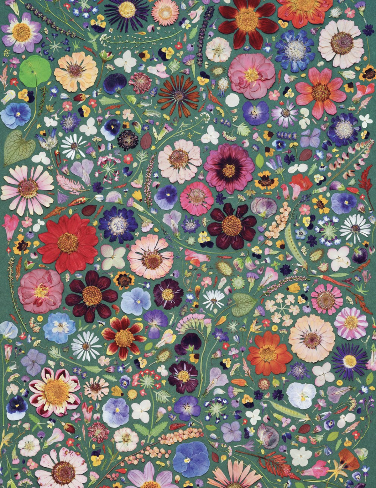 Beautiful Blooms Wrapping Paper Book