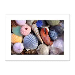 Greeting Cards coastal Theme