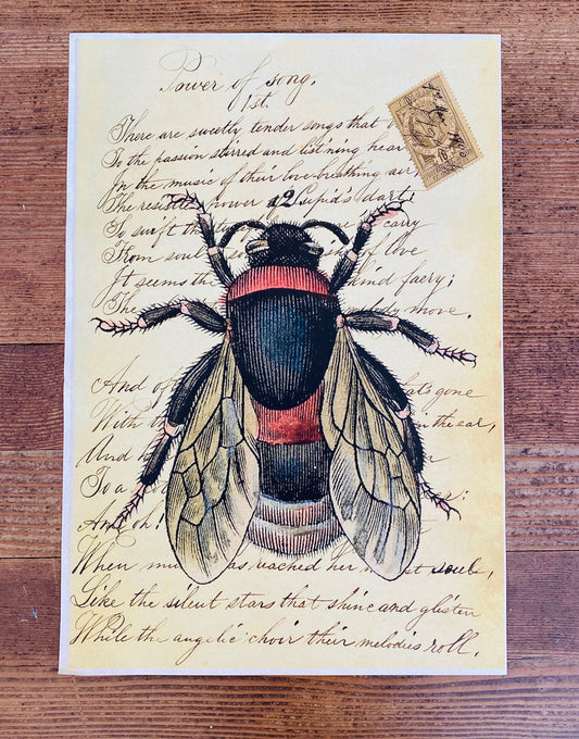 Art Paper-so many to choose from!