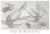 Bird Song Mould