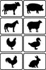 Farm Animal Set - JRV Stencil