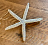 Sea Star Ornament