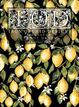 NEW FORMAT! Lemon Drops | Transfer