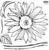 Sunflower IOD Stamp