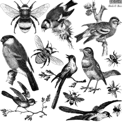 Birds & Bees IOD Stamp