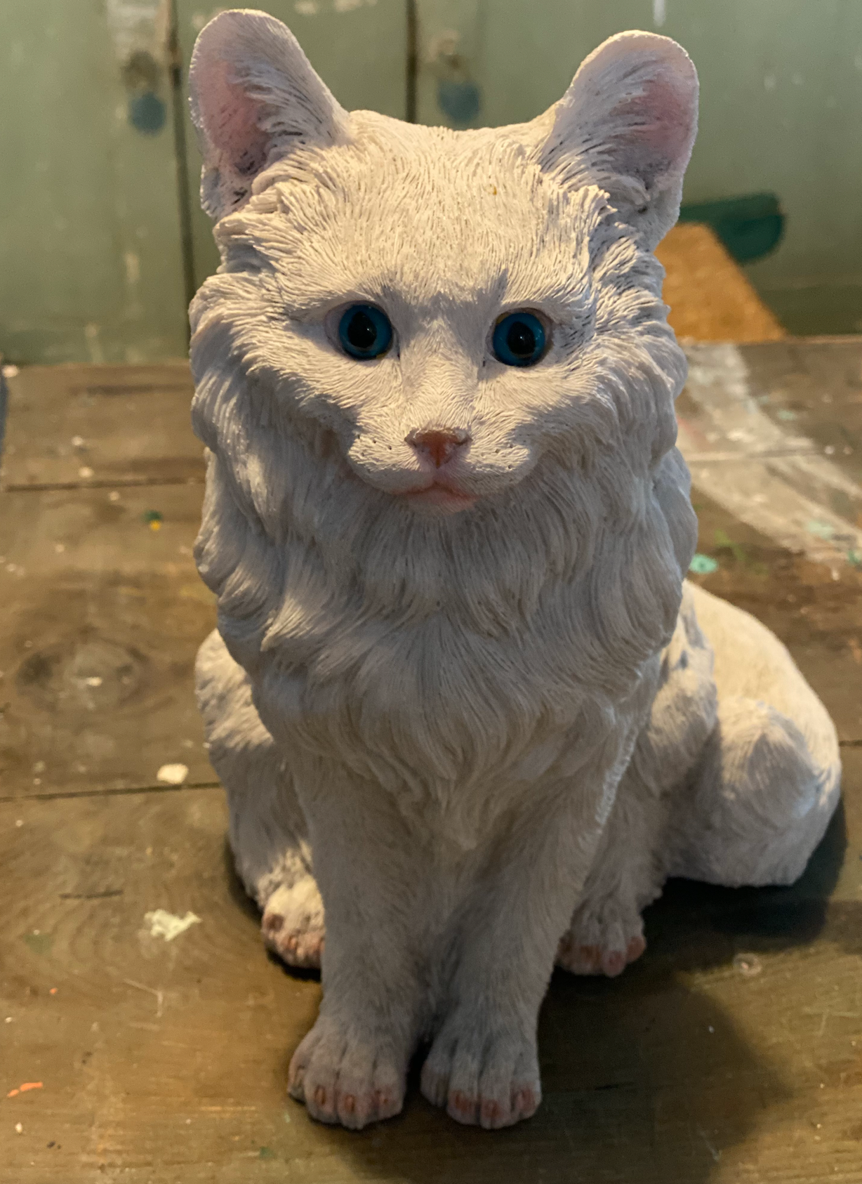 Persian Cat